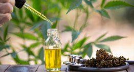 How CBD Helps Mental Health Sufferers