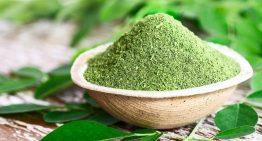 Six Health Benefits of Using Moringa Powder Daily