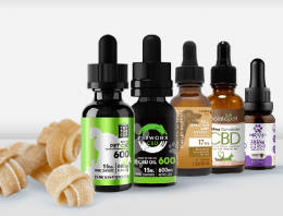 The Best CBD Oil for Dogs