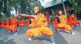 What to Expect when you Learn Kung Fu?