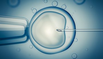 Understanding IVF Embryo Transfer