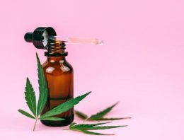 Buying CBD Products Based On Their Popularity Among CBD Users